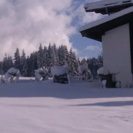 Seebacher Lägenhet Hochfilzen